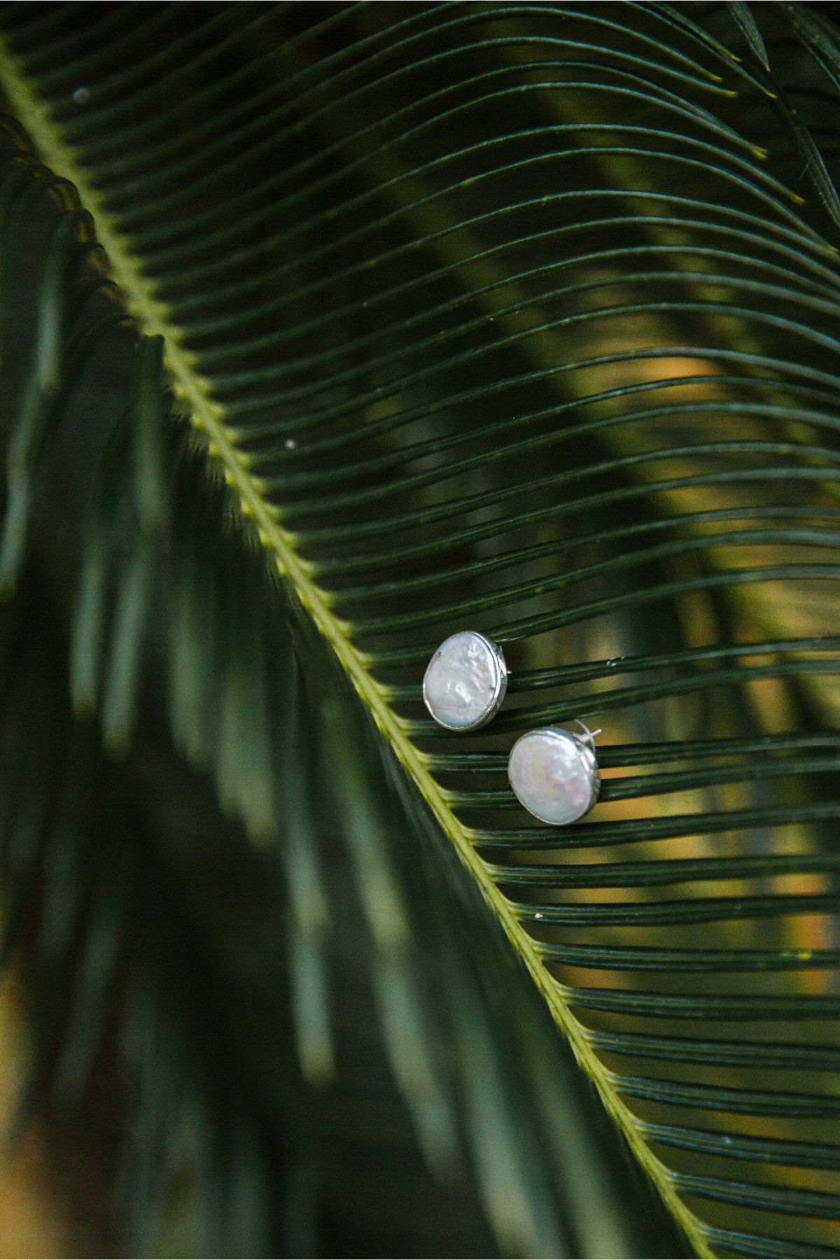 Large Flat Pearl Studs