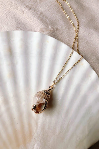 Gold Dipped Seashell - ShopAuthentique