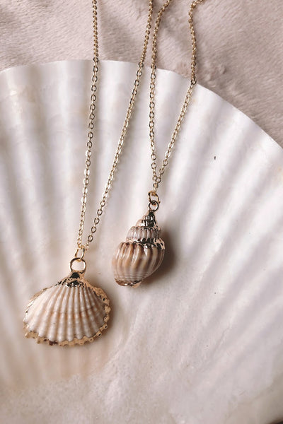 Gold Dipped Seashell - ShopAuthentique